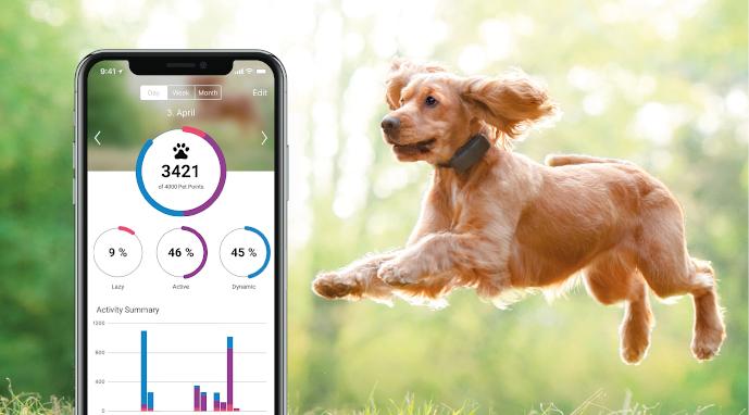 Tractive GPS tracker