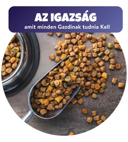 Az igazság, amit minden Gazdinak tudnia Kell: az ismert állateledelek rejtett oldala