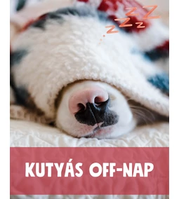 „Kutyás off-nap”: hogyan tarts igazi pihenőnapot a kutyának?