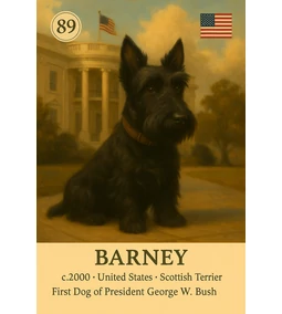 Barney – A Fehér Ház első számú négylábú lakója / Híres kutyák – 10. rész