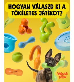 Hogyan válaszd ki a tökéletes kutyajátékot?