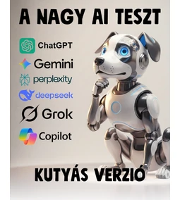 Nem kérdeztem meg az Ai-t, megkérdeztem egyből hatot