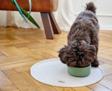 Etetőtálak és tárolók