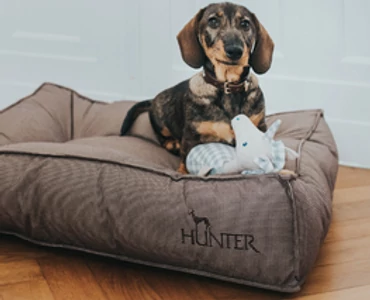 Ágyak, párnák és matracok