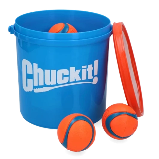 Chuckit Bucket