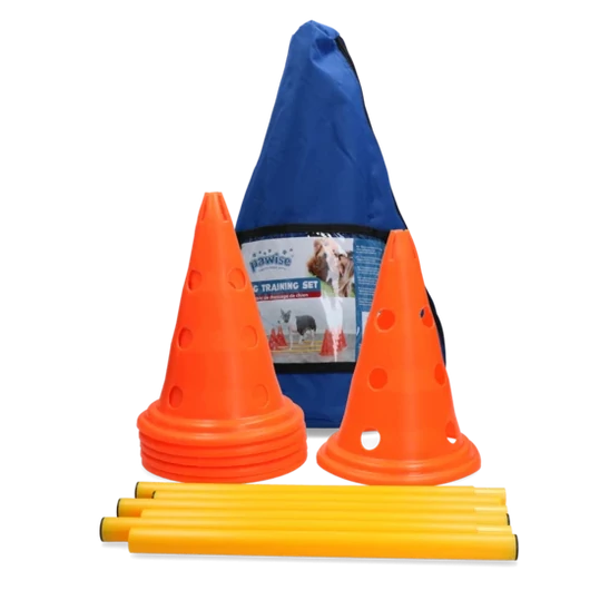 Pawise Dog Activity set