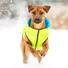 Kép 2/6 - AiryVest Lumi kifordítható, világító kutyakabát S30 Zöld/kék