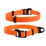 Kép 2/3 - Collar EVOLUTOR
