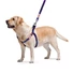 Kép 2/2 - WAUDOG Nylon dog harness