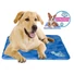 Kép 3/3 - CoolPets Dog Mat 40x30 cm S