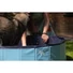 Kép 2/4 - CoolPets Splash Dog Pool UV Álló Kutyamedence