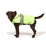 Kép 2/2 - Danish Dog Design 2 in 1 L/R DOG COAT UV sárga