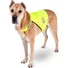 Kép 2/3 - Nightwalk Dog Safety Láthatósági Mellény Kutyáknak