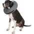 Kép 2/5 - Zencollar the original Procollar kutya gallér