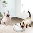 Kép 2/3 - AFP Lifestyle 4 Pet-5 Meal Pet Feeder