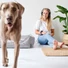 Kép 8/11 - Hunter Eiby Easy Clean nanorészecskés kutyakanapé
