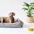Kép 4/11 - Hunter Eiby Easy Clean nanorészecskés kutyakanapé