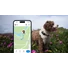 Kép 3/6 - Tractive GPS DOG 6 Nyomkövető és Aktivitásmérő kutyáknak