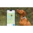 Kép 4/6 - Tractive GPS DOG 6 Nyomkövető és Aktivitásmérő kutyáknak