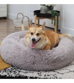 West Paw Dog Wellness Challenge: ALVÁS