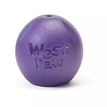 West Paw Rando L Eggplant