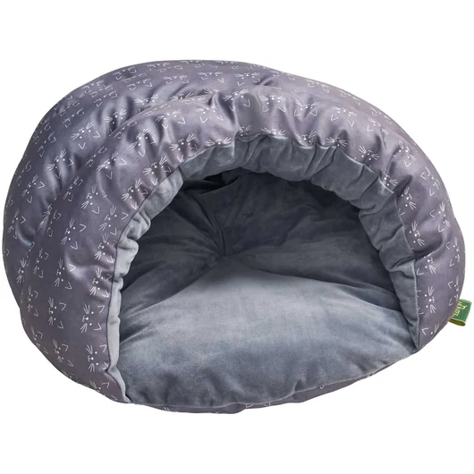 Hunter Cave cat Luena