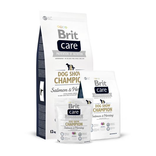 Brit Care Dog Show Champion