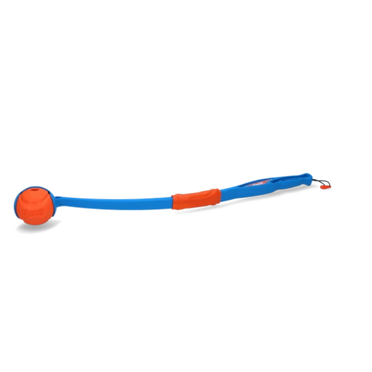 Chuckit Fetch &amp; fold launcher