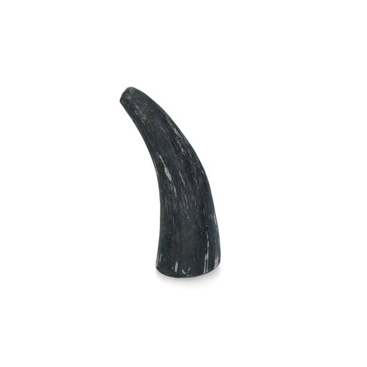 Viking whole Horn