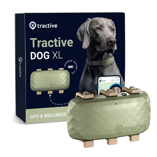 Tractive GPS DOG XL Nyomkövető és Aktivitásmérő nagytestű kutyáknak