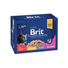 Kép 1/5 - Brit Premium Cat Pouches Family Plate