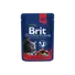 Kép 4/5 - Brit Premium Cat Pouches Family Plate