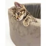 Kép 3/5 - Danish Design Cat Cosy