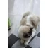 Kép 5/5 - Let's sleep Pet Cube