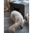 Kép 2/5 - Let's sleep Pet Cube