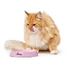 Kép 3/4 - Hunter Melamine feeding bowl Moulins 200 ml
