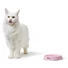 Kép 4/4 - Hunter Melamine feeding bowl Moulins 200 ml