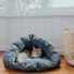 Kép 2/3 - Hunter Cave cat Luena