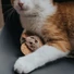 Kép 3/3 - Hunter MOA Mouse