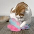 Kép 2/3 - KONG Cat Wubba Caticorn Macskamentás Macskajáték