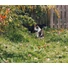 Kép 3/9 - Tractive GPS CAT Mini Nyomkövető és Aktivitásmérő macskáknak