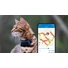 Kép 9/9 - Tractive GPS CAT Mini Nyomkövető és Aktivitásmérő macskáknak