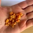 Kép 2/2 - BARF LOVE Édesburgonya Tréning Jutalomfalat Kutyáknak 100 g