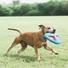 Kép 4/4 - Chuckit Fetch Flight