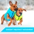 Kép 4/6 - AiryVest Lumi kifordítható, világító kutyakabát S30 Zöld/kék