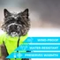 Kép 5/6 - AiryVest Lumi kifordítható, világító kutyakabát S30 Zöld/kék