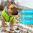 Kép 6/6 - AiryVest Lumi kifordítható, világító kutyakabát S30 Zöld/kék