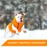 Kép 4/6 - AiryVest