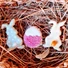 Kép 2/3 - Cooka's Somebunny Loves You Húsvéti Gluténmentes Kutyakeksz Díszdobozban