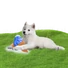 Kép 2/2 - CoolPets Cooling Ice Penguin